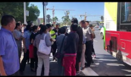 吃瓜爆料碰瓷图片高清视频,高清碰瓷图片视频引发热议，真相究竟如何？